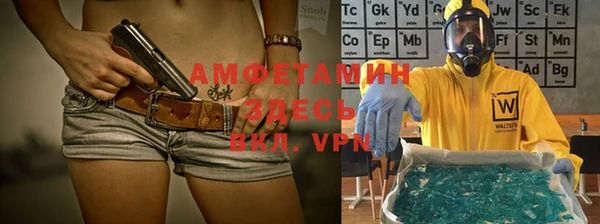 прущие грибы Алексеевка
