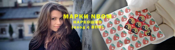 мет Алексин