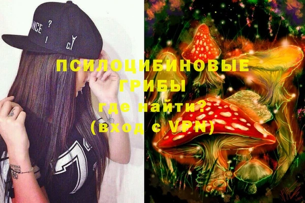 спайс Алзамай