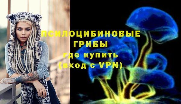 мет Алексин
