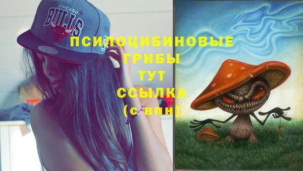 спайс Алзамай